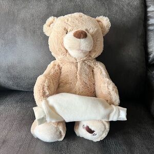 Peek a Boo Bear